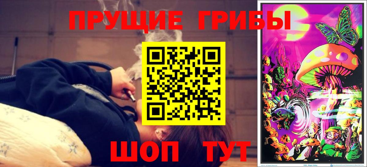 Псилоцибиновые грибы Psilocybe  Вход с VPN  Березники  Галлюциногенные грибы мицелий 
